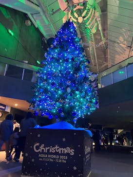アクアワールド茨城県大洗水族館に投稿された画像（2025/11/23）