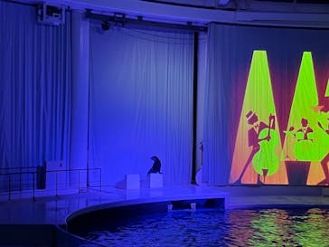 アクアワールド茨城県大洗水族館に投稿された画像（2025/11/23）