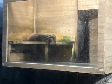 アクアワールド茨城県大洗水族館に投稿された画像（2025/11/23）