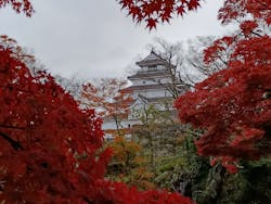 鶴ヶ城に投稿された画像（2025/11/23）