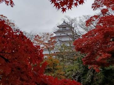 鶴ヶ城に投稿された画像（2025/11/23）