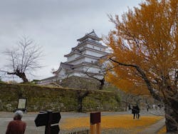 鶴ヶ城に投稿された画像（2025/11/23）