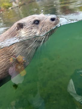 環境水族館アクアマリンふくしまに投稿された画像（2025/11/23）