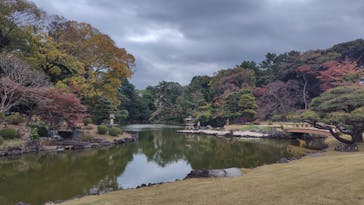 新宿御苑に投稿された画像（2025/11/23）