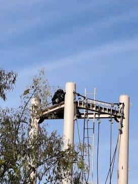 名古屋市東山動植物園に投稿された画像（2025/11/23）