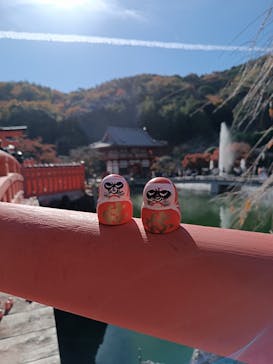 勝尾寺に投稿された画像（2025/11/23）