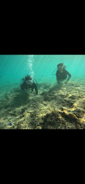 武藤潜水に投稿された画像（2025/11/23）