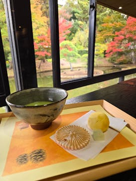 三溪園に投稿された画像（2025/11/23）