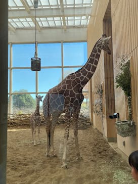 こども動物自然公園（埼玉県公園緑地協会）に投稿された画像（2025/11/23）