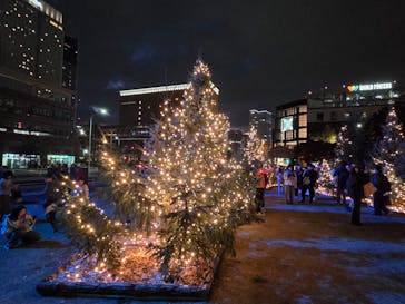 Christmas Market in 横浜赤レンガ倉庫 2025に投稿された画像（2025/11/23）