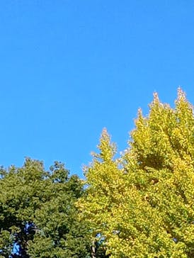 恩賜上野動物園に投稿された画像（2025/11/23）