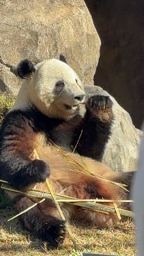 恩賜上野動物園に投稿された画像（2025/11/23）