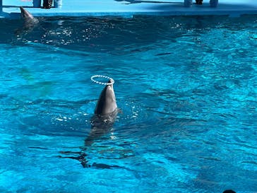 南知多ビーチランド＆南知多おもちゃ王国に投稿された画像（2025/11/23）