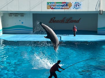 南知多ビーチランド＆南知多おもちゃ王国に投稿された画像（2025/11/23）