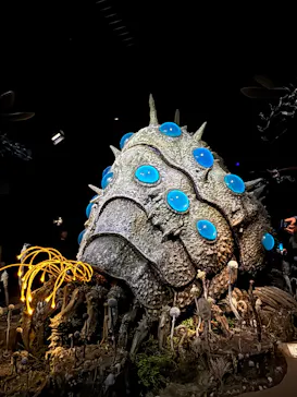 金曜ロードショーとジブリ展（静岡展）に投稿された画像（2025/11/23）