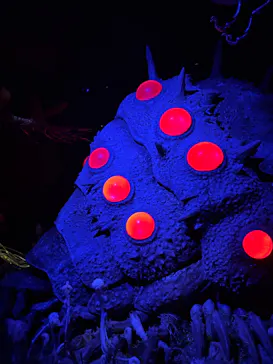 金曜ロードショーとジブリ展（静岡展）に投稿された画像（2025/11/23）