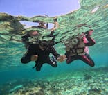 沖縄マリンサービス碧に投稿された画像（2025/11/23）