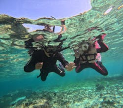 沖縄マリンサービス碧に投稿された画像（2025/11/23）