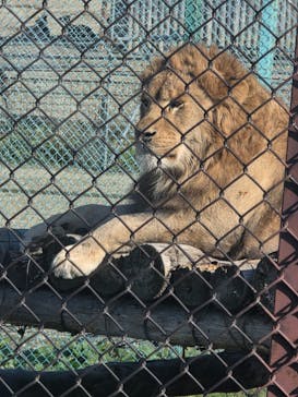 岩手サファリパークに投稿された画像（2025/11/23）