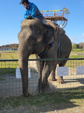 岩手サファリパークに投稿された画像（2025/11/23）