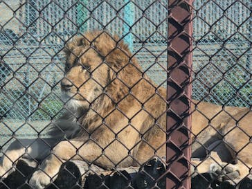 岩手サファリパークに投稿された画像（2025/11/23）