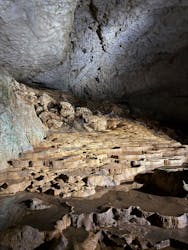 秋芳洞に投稿された画像（2025/11/23）