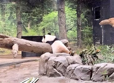 恩賜上野動物園に投稿された画像（2025/11/23）