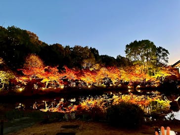 名古屋市東山動植物園に投稿された画像（2025/11/23）