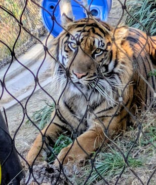名古屋市東山動植物園に投稿された画像（2025/11/23）