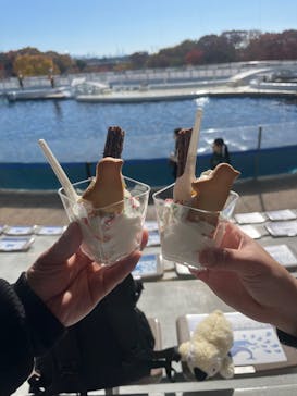 京都水族館に投稿された画像（2025/11/23）