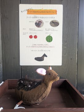 こども動物自然公園（埼玉県公園緑地協会）に投稿された画像（2025/11/23）