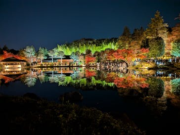 国営昭和記念公園 秋の夜散歩に投稿された画像（2025/11/23）