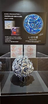 万博記念公園に投稿された画像（2025/11/23）