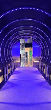 万博記念公園に投稿された画像（2025/11/23）