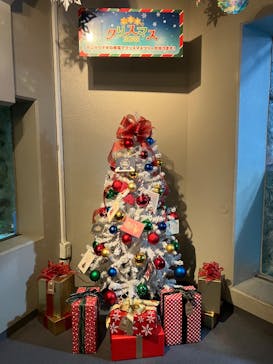 しながわ水族館に投稿された画像（2025/11/23）