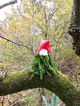 ACAO FORESTに投稿された画像（2025/11/23）