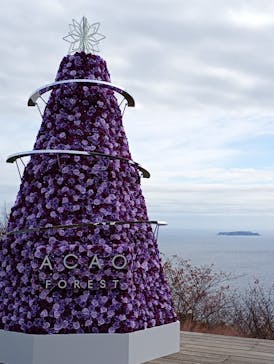 ACAO FORESTに投稿された画像（2025/11/23）