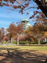 大阪城公園 西の丸庭園に投稿された画像（2025/11/23）