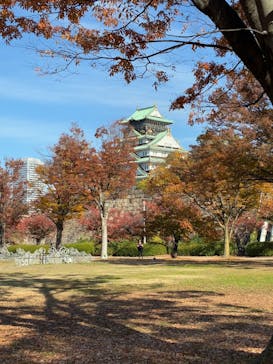 大阪城公園 西の丸庭園に投稿された画像（2025/11/23）