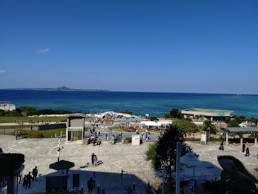 沖縄美ら海水族館に投稿された画像（2025/11/23）