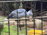 千葉市動物公園に投稿された画像（2025/11/23）