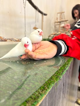 Moff animal world BIGHOPガーデンモール印西店に投稿された画像（2025/11/23）