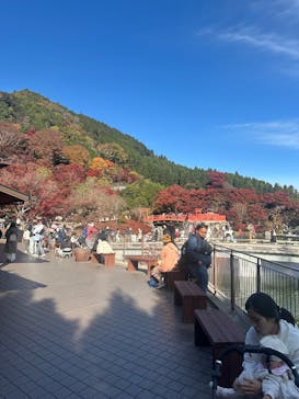 勝尾寺に投稿された画像（2025/11/23）