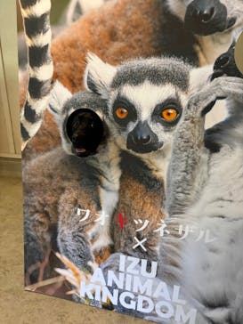 伊豆アニマルキングダムに投稿された画像（2025/11/23）
