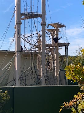 名古屋市東山動植物園に投稿された画像（2025/11/23）