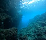 武藤潜水に投稿された画像（2025/11/23）