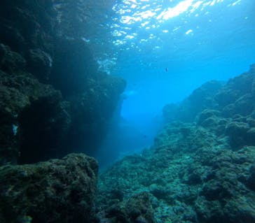 武藤潜水に投稿された画像（2025/11/23）