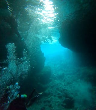 武藤潜水に投稿された画像（2025/11/23）