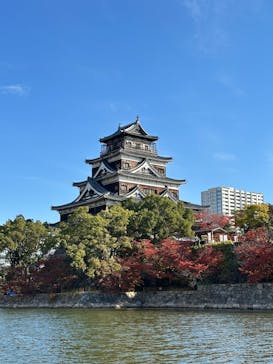 広島城に投稿された画像（2025/11/23）