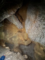 秋芳洞に投稿された画像（2025/11/23）